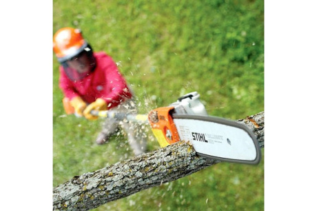 Купить Высоторез STIHL HT 135  30 см / 12  71PM3 4182-200-0198 фото №2